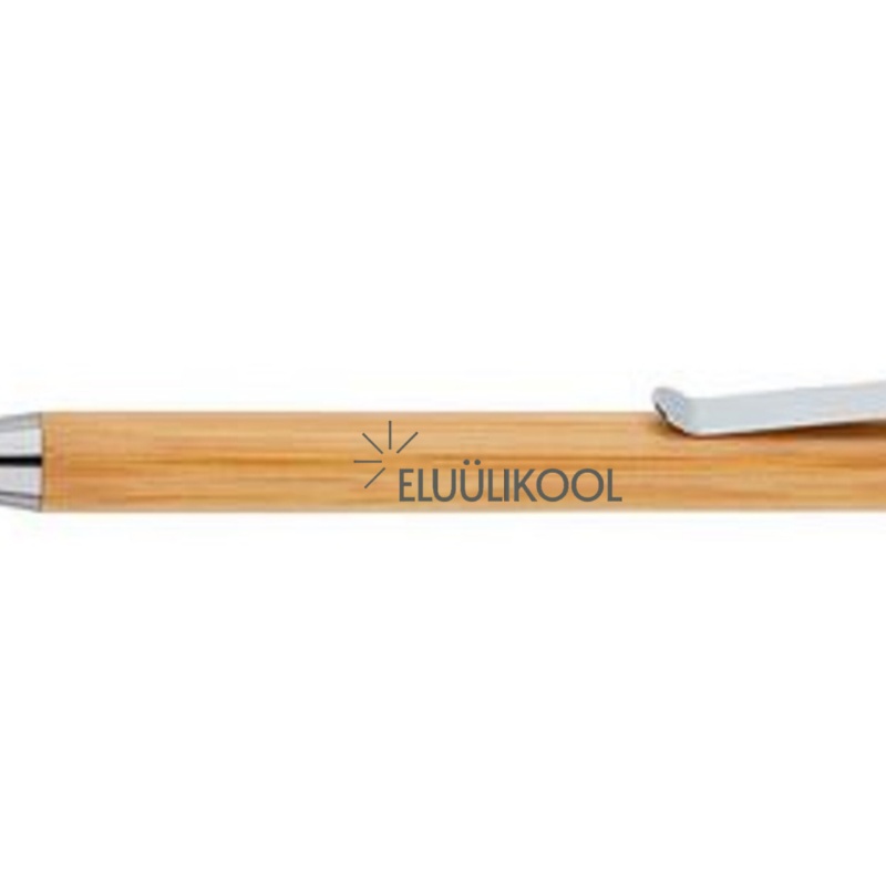 bambuspastakas 2.jpg